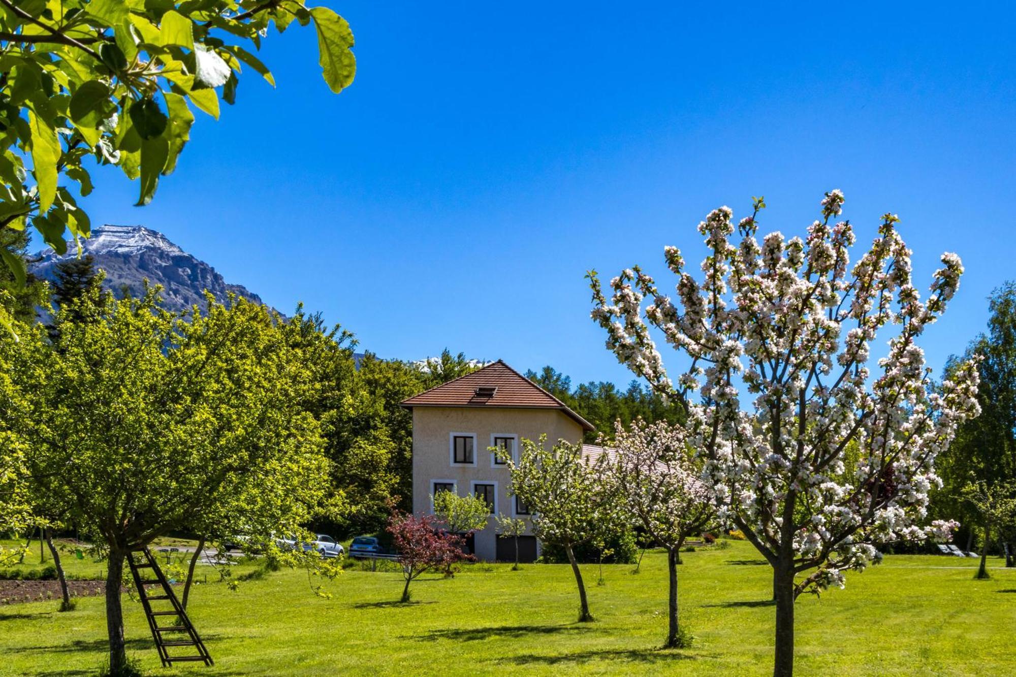 "La Combe Fleurie" Appartements & Chambres Saint-Bonnet-en-Champsaur Esterno foto